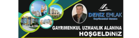 denizemlakarsuz.com