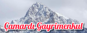 camardigayrimenkul.com