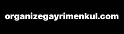 organizegayrimenkul.com