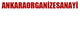 ankaragayrimenkul.com