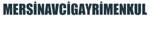 mersinavcigayrimenkul.com