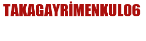 takagayrimenkul06.com