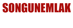 songunemlak.com